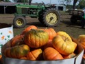 tractorthumb1